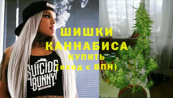 PSILOCYBIN Горно-Алтайск