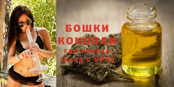 PSILOCYBIN Горно-Алтайск