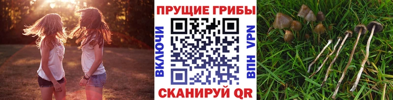 Галлюциногенные грибы ЛСД  Купить  Хотьково 